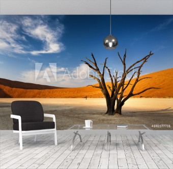 Picture of Dead tree in Sossusvlei in the Namib Desert Namibia